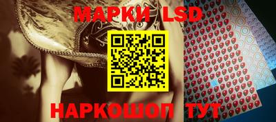 a pvp Новодвинск