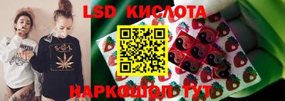 СК Новозыбков