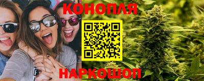 a pvp Новодвинск