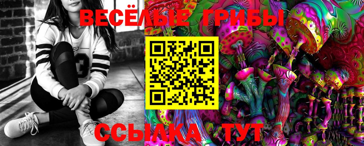 Сосновый Бор  Галлюциногенные грибы прущие грибы  Вход с VPN 